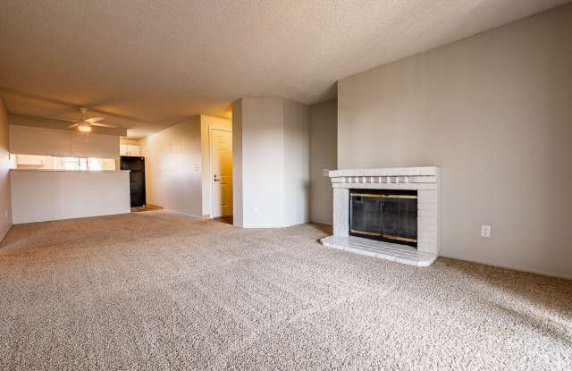 1202 Pearl Gallery 4