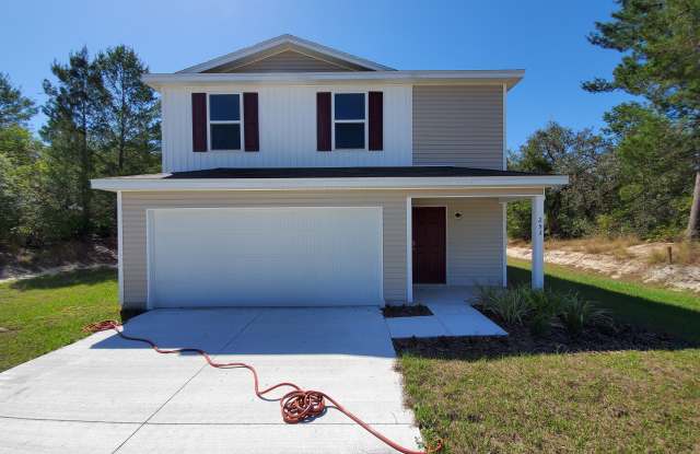 253 Fig Ct - 253 Fig Ct, Poinciana, FL 34759