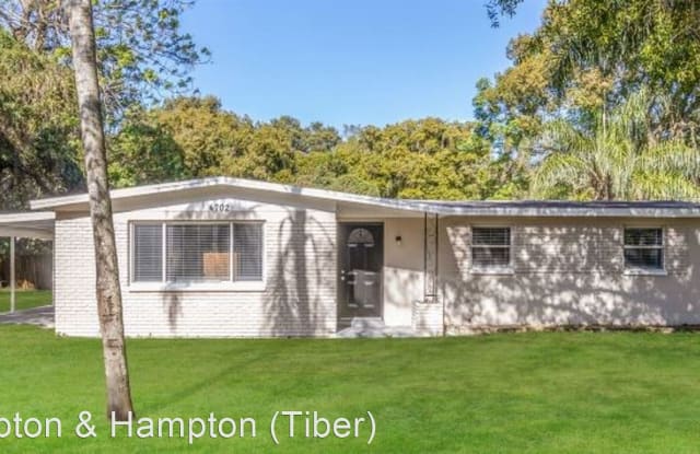 4702 E IDLEWILD AVE - 4702 East Idlewild Avenue, East Lake-Orient Park, FL 33610