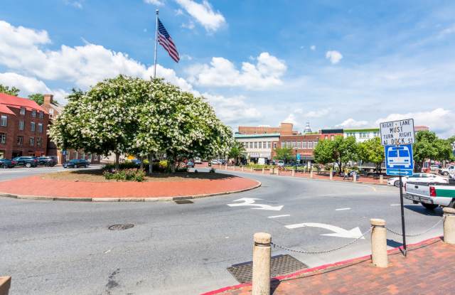 Historic Downtown Annapolis photos photos