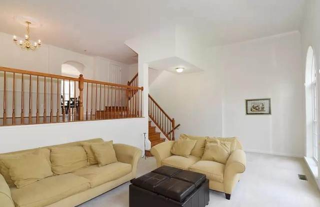 21778 LADYSLIPPER SQUARE Gallery 3