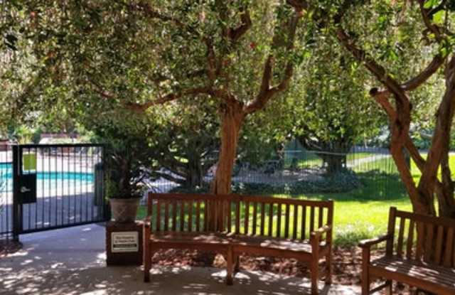 Spacious 1-bed 1-bath condo now available at Shelter Creek photos photos