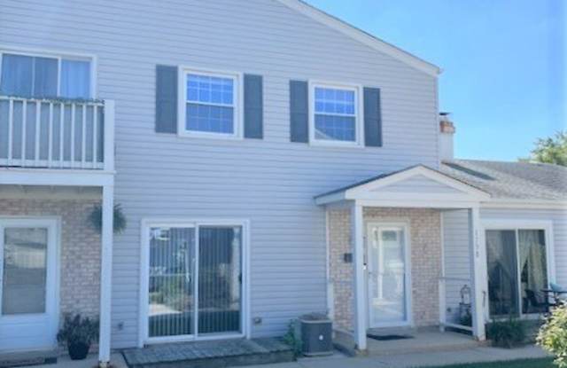 173 EMIL Court - 173 Emil Court, Bartlett, IL 60103