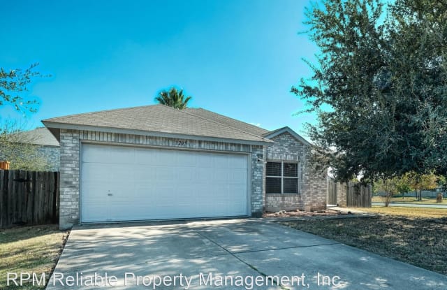 3205 Settlement Drive - 3205 Settlement Drive, Round Rock, TX 78665