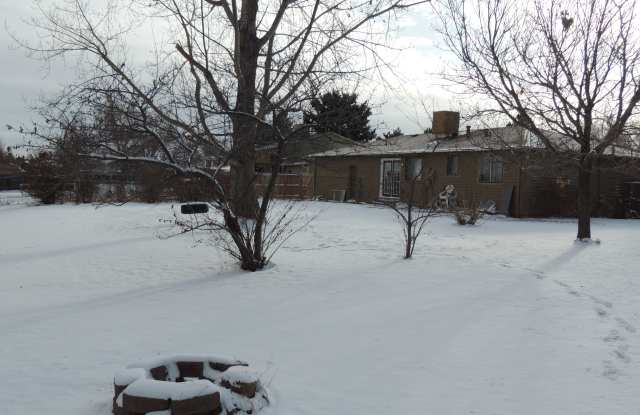 3223 E 119th Pl - 3223 East 119th Place, Thornton, CO 80233