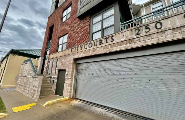 MOVE IN NOW OCTOBER RENT FREE - 1 Bedroom Condo Downtown! photos photos