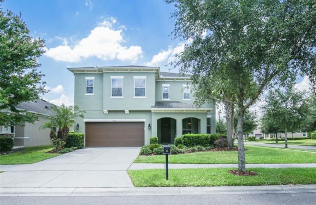 5101 OAKLINE VIEW DRIVE - 5101 Oakline View Drive, Fish Hawk, FL 33547