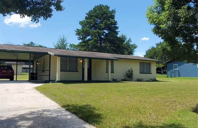 37204 NICOLE AVENUE - 37204 Nicole Avenue, Pasadena Hills, FL 33541