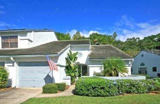 4229 BRENTWOOD PARK CIRCLE - 4229 Brentwood Park Circle, Northdale, FL 33624