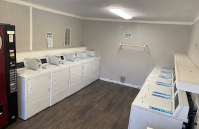 Madeira Apartments Gallery 4