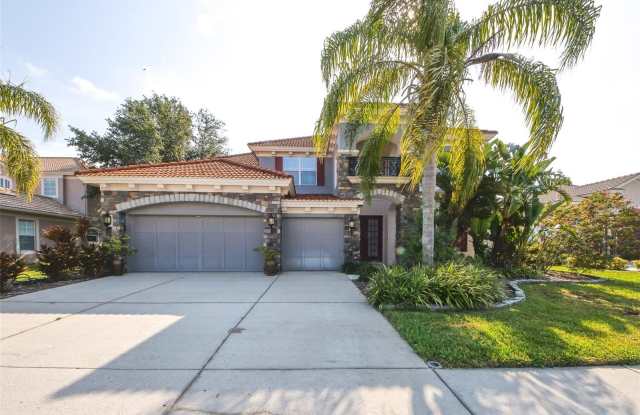 11317 BIDDEFORD PLACE - 11317 Biddeford Place, Pasco County, FL 34654