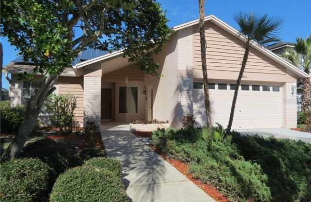11513 WHISPERING HOLLOW DRIVE - 11513 Whispering Hollow Drive, Town 'n' Country, FL 33635