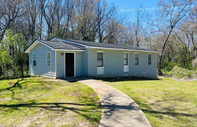 WOW newly renovated 4 bedroom, 2.5 bathroom home in Lagrange! Must see - 109 Horace King Street, LaGrange, GA 30241