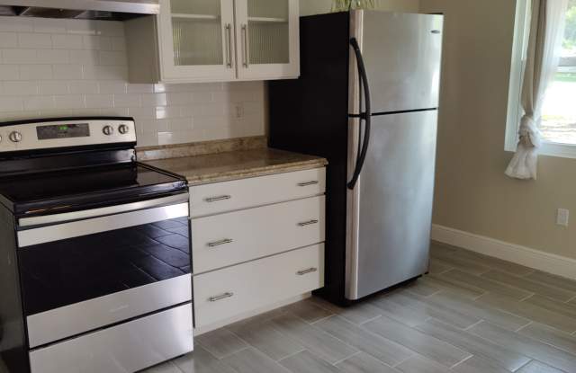 2821 Anthony Street - 2821 Anthony Street, East Lake-Orient Park, FL 33619