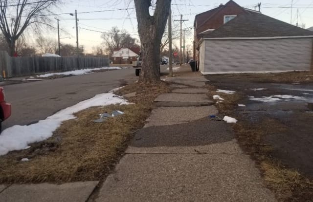 11862 st louis st. - 11862 Saint Louis Street, Detroit, MI 48212