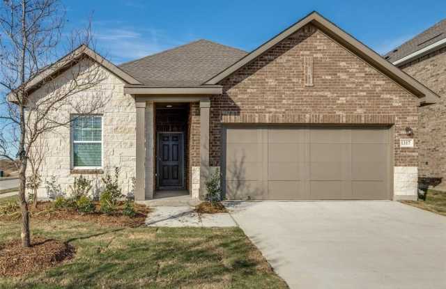 1317 Payrone Road - 1317 Payrone Road, Collin County, TX 75009