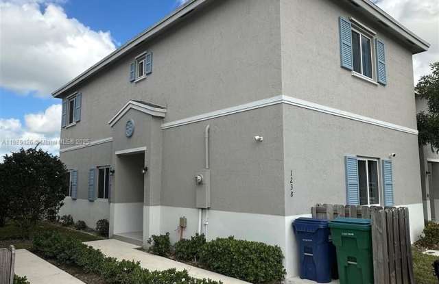 1238 NW 4th Ln - 1238 Northwest 4th Lane, Florida City, FL 33034