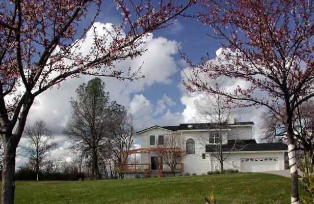 Gorgeous Multilevel 4 Bedroom 2.5 Bathroom Home on Acreage photos photos