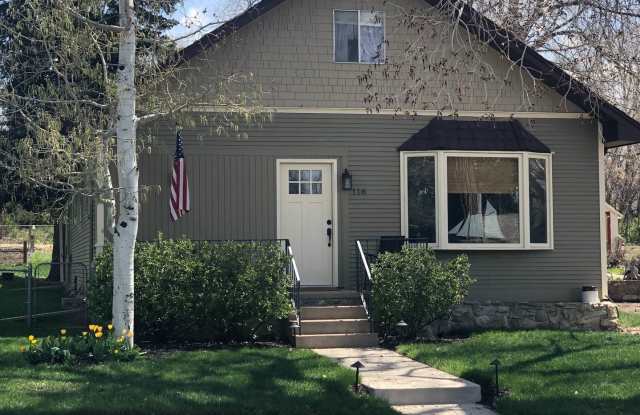116 Lewis St. - 116 Lewis Street, Castle Rock, CO 80104