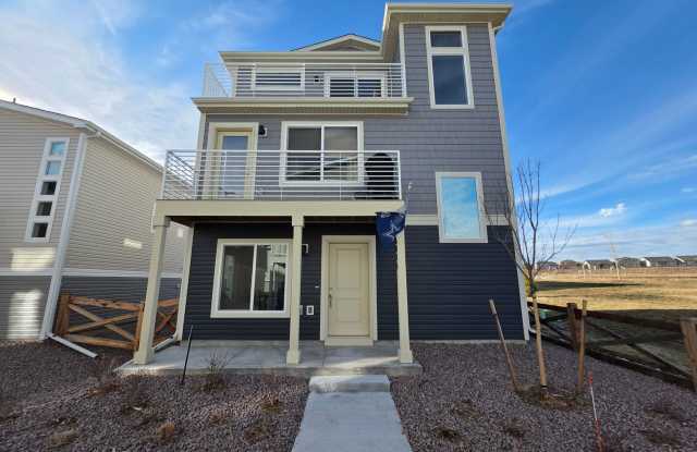 Stunning New Home Build in Beautiful Banning Lewis Ranch!!! photos photos Stunning New Home Build in Beautiful Banning Lewis Ranch!!! photos photos