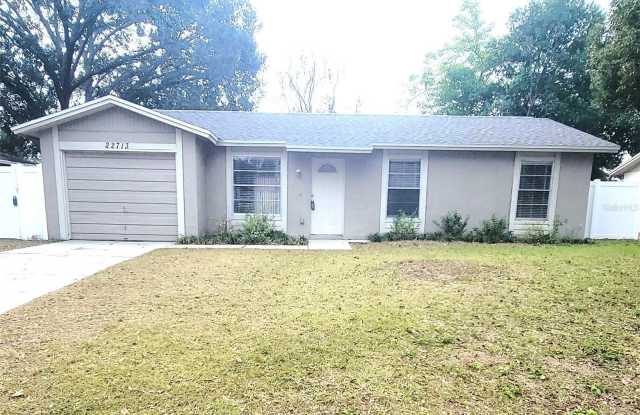 22713 PENNY LOOP - 22713 Penny Loop, Land O' Lakes, FL 34639