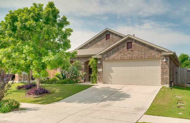 292 Strawberry Blonde Dr Buda, TX 78610 photos photos