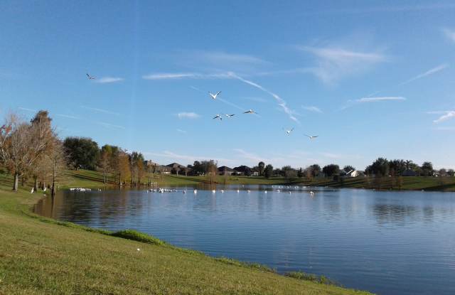 2408 Backwater Way - 2408 Backwater Way, The Villages, FL 32162