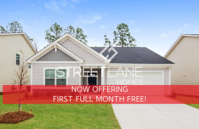 317 Chetsley Drive - 317 Chetsley Drive, Red Bank, SC 29073