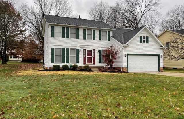 10098 Dayflower Drive - 10098 Dayflower Drive, Twinsburg, OH 44087