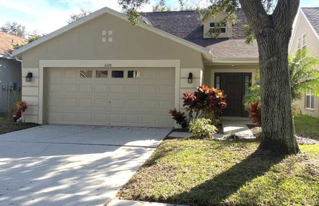 FISHHAWK photos photos FISHHAWK photos photos