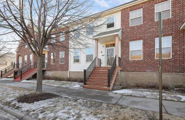 905 Braunworth Court - 905 Braunworth Court, Chaska, MN 55318