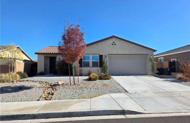 11415 Ferro photos photos