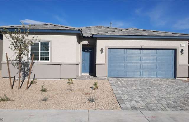 1674 Viola Falls Street photos photos