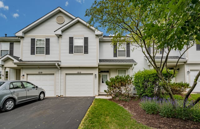 1215 Denver Court - 1215 Denver Court, Naperville, IL 60540