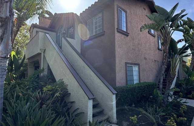 41 Rosa photos photos