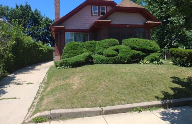 422 South Street - 422 South Street, Elgin, IL 60123