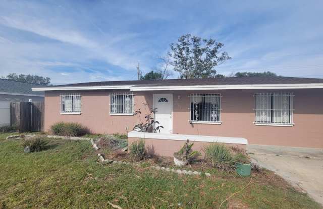 Spacious Tampa Home Gallery 1