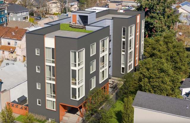 Southpaw photos photos