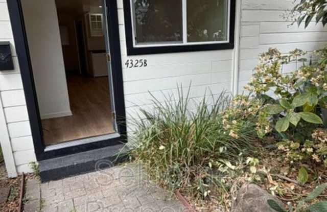 4325B Essex Street Gallery 2