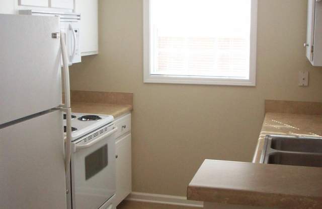 223 Wakefield- Available NOW Gallery 3
