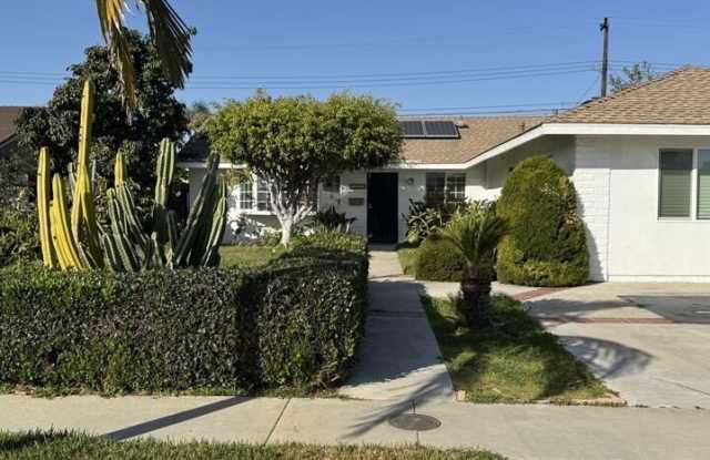 5501 Stardust photos photos 5501 Stardust photos photos