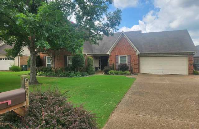 959 LYCOMEDES photos photos