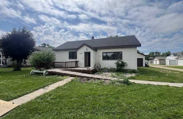 319 5th Street East - 319 5th Street East, Madison, MN 56256