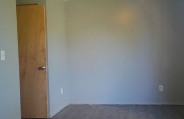205 W Chalmers Ave - 4beds 1.5bath Gallery 4