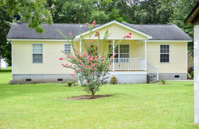 1489 Deleston St - 1489 Deleston Street, Charleston County, SC 29412