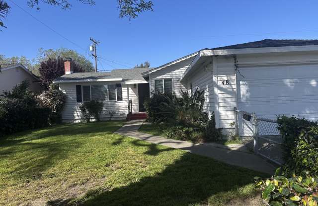 48 Heath Street - 48 Heath Street, Milpitas, CA 95035