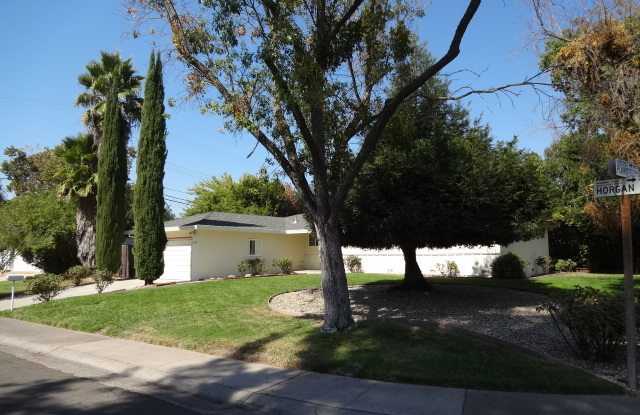 SINGLE STORY, 4 BED, 2 BA, LARGE LOT, ARDEN ARCADE AREA Gallery 3