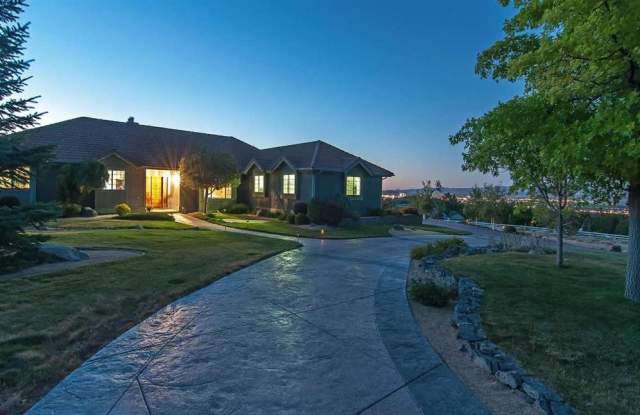 245 Brunswick Mill Rd - 245 Brunswick Mill Road, Washoe County, NV 89511