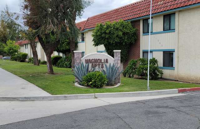 Magnolia photos photos