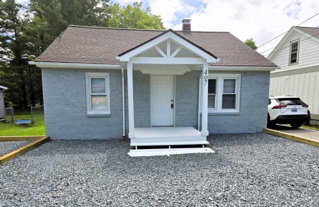 Cute Meadowview Bungalow; 3/1.5 Right in Town and on an AppalCART! photos photos